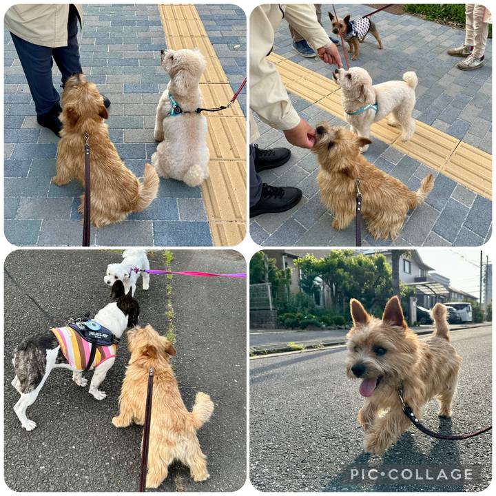 Ddacb281 40ea 4aad ab0f e4ad4d89f3ad 1747254385268