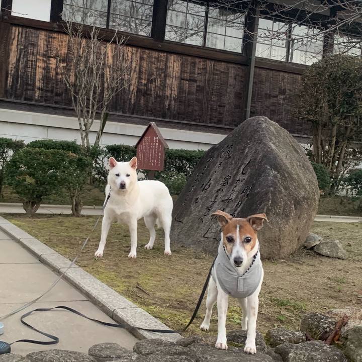 Ddacbef8 6fe8 48c9 8634 ba847519d752 1546769630117