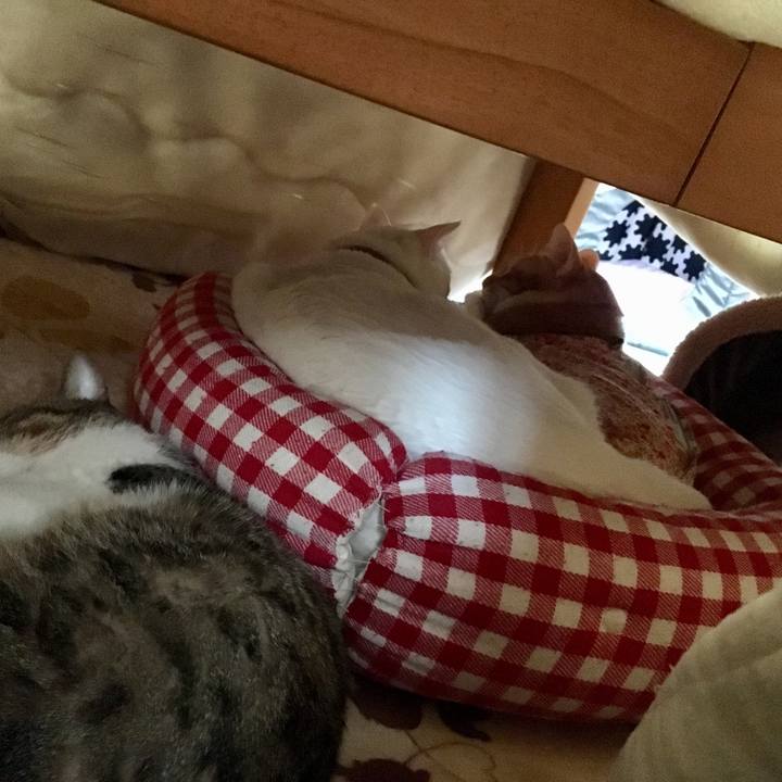 Ddacce9f f3ee 48c8 baef 1ffb7d20003b 1516773558803