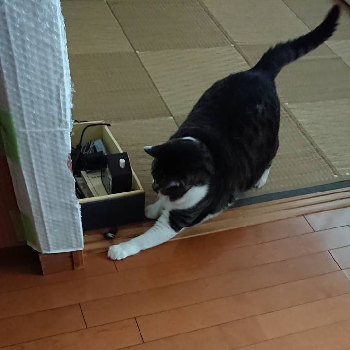 Ddad11e9 2058 4417 a32c 89d4e2555538 1533972801280