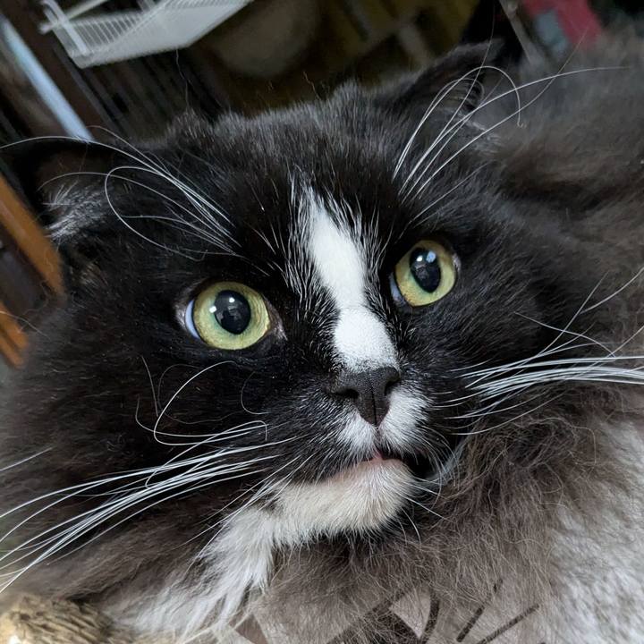 Ddad3374 8652 4d3e aa5a e7417a754ed2 1733745957223