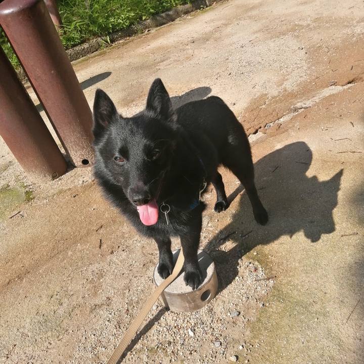 Ddad3c35 dde1 4f87 9fba 5af3fac618e7 1622244725683