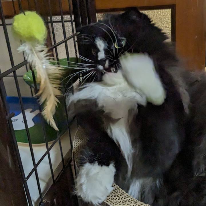 Ddad4833 51d7 436c bafd 5539ffa9acf6 1700265646100