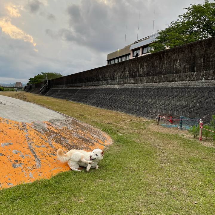 Ddad7362 b379 4aa7 9dfb 913ab080d4b3 1654779447959