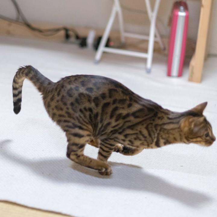 Ddad8b82 5884 41ea beb3 d52d0e409753 1521729052799