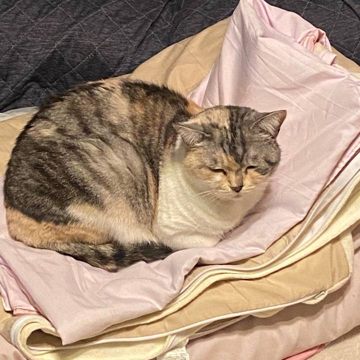 Ddae0995 f17e 4fa9 b386 488beaf27aea 1584455334479