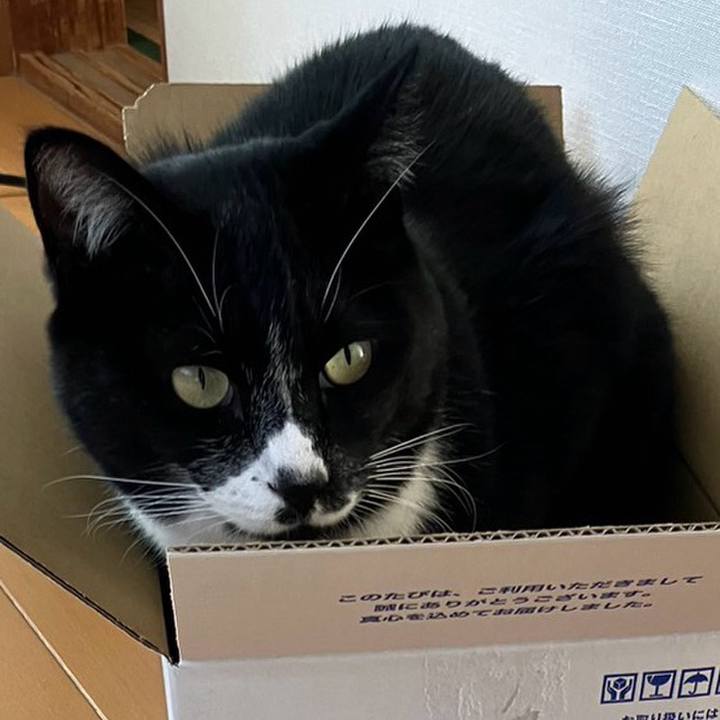 Ddae144a 9912 45bd b7a1 2652873e6522 1703733558949