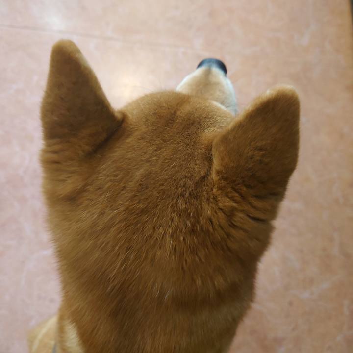 Ddae23e1 6ddf 468f a402 2828ceaa186c 1766117574490