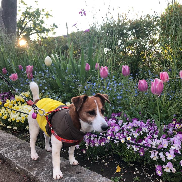 Ddae29f0 94a9 4059 8e79 012ef9cb0551 1604920681257