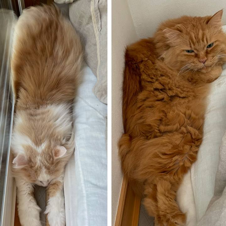 Ddae3785 3541 4b79 bf64 0ec50391c3a7 1746657801789