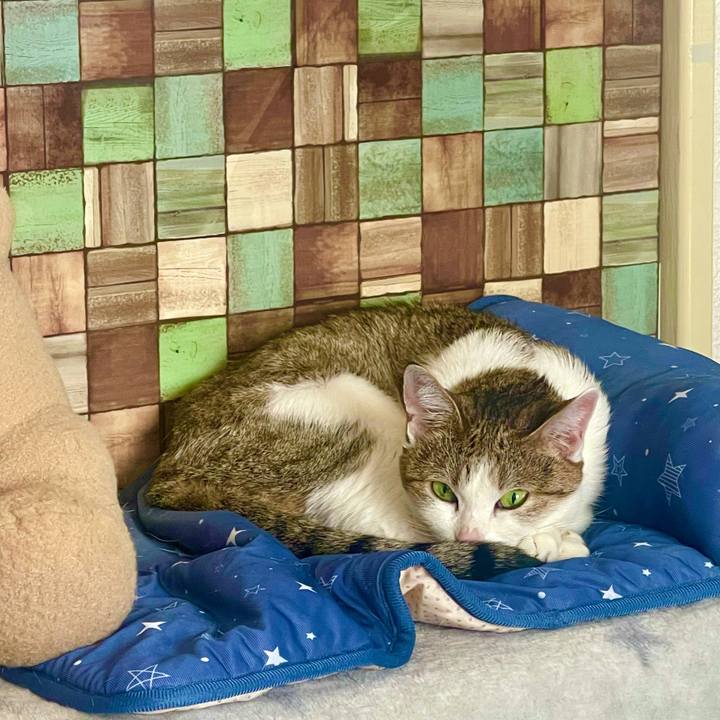 Ddae4048 a8fe 4523 b656 b3721734b95f 1635732592208