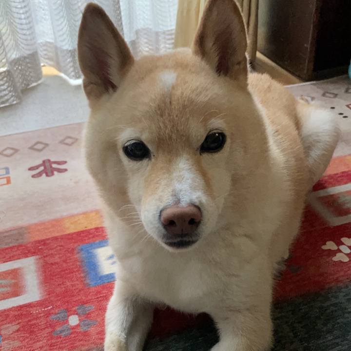 Ddae5c74 aa46 4dc5 98c4 f91dc010e38d 1760757473961