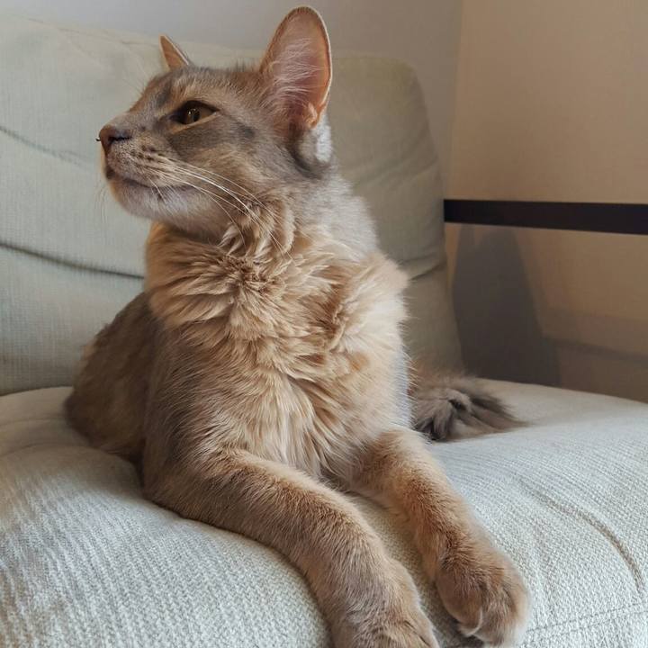 Ddae817c a3a7 4b8e 88bb dba6b305ecdb 1527159791898