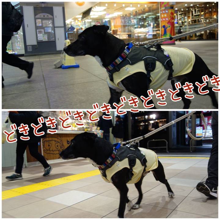 Ddaeae5a 9061 48ac ba23 e0c42fd5b03c 1644057111209