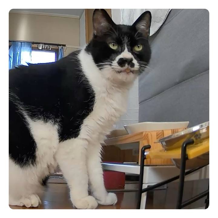 Ddaeb554 7e3b 4130 b326 b2fc2bb97c69 1734998679002