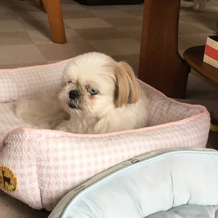 Ddaec442 51d6 4534 8739 54f5fcc65e58 1568766847439