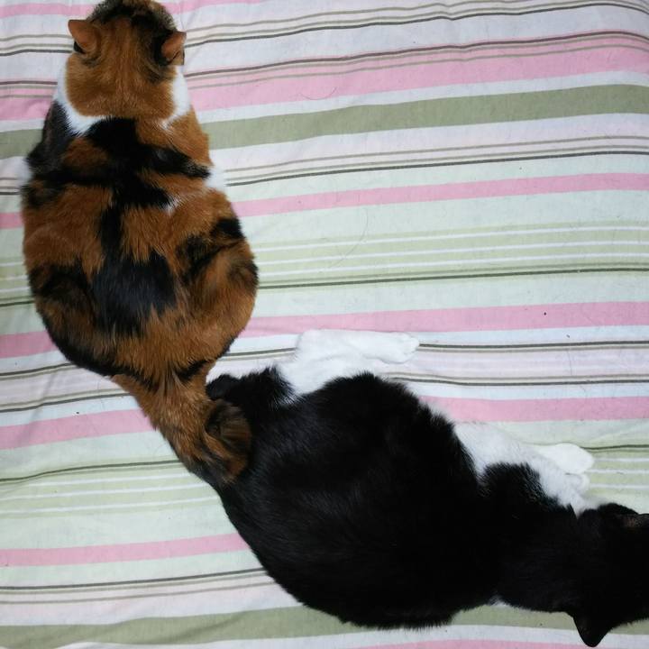 Ddaece45 0871 4ff0 9143 2028b674df83 1525500492208