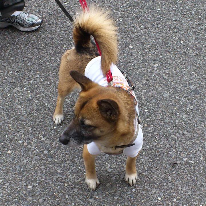 Ddaf1f11 6306 4e85 b6fe 6226a7e67a58 1550319390322