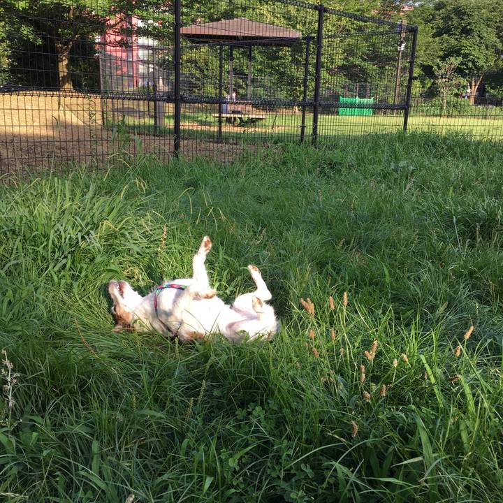 Ddafa15b 2b54 434b b5f6 85c023fbc31c 1657582850724