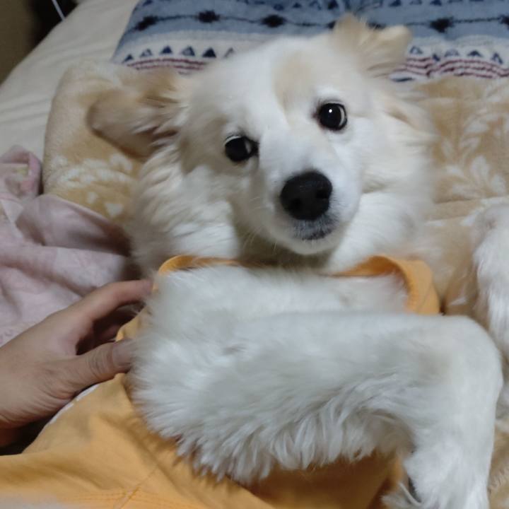 Ddafa718 97ce 419b 8d48 b8a1eb82dd9e 1649339197782