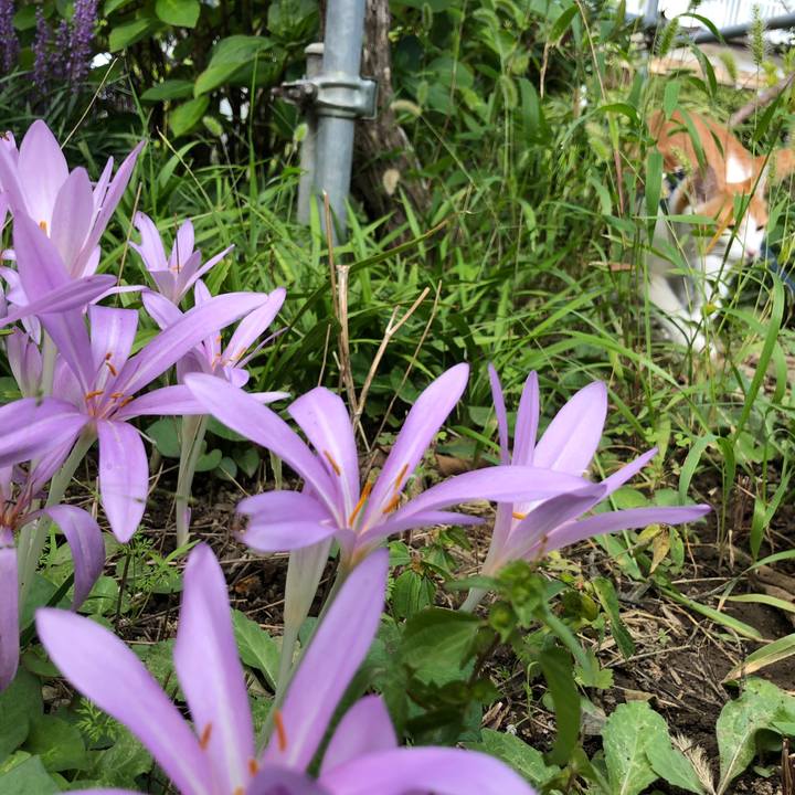 Ddafaede f8ed 4a4b a7da e1d56a9992de 1537935525841