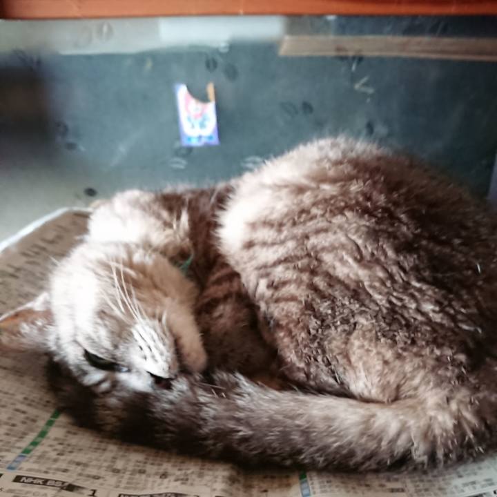 Ddafd4dd 4888 431d b230 55c3a47fcd0d 1568667929638