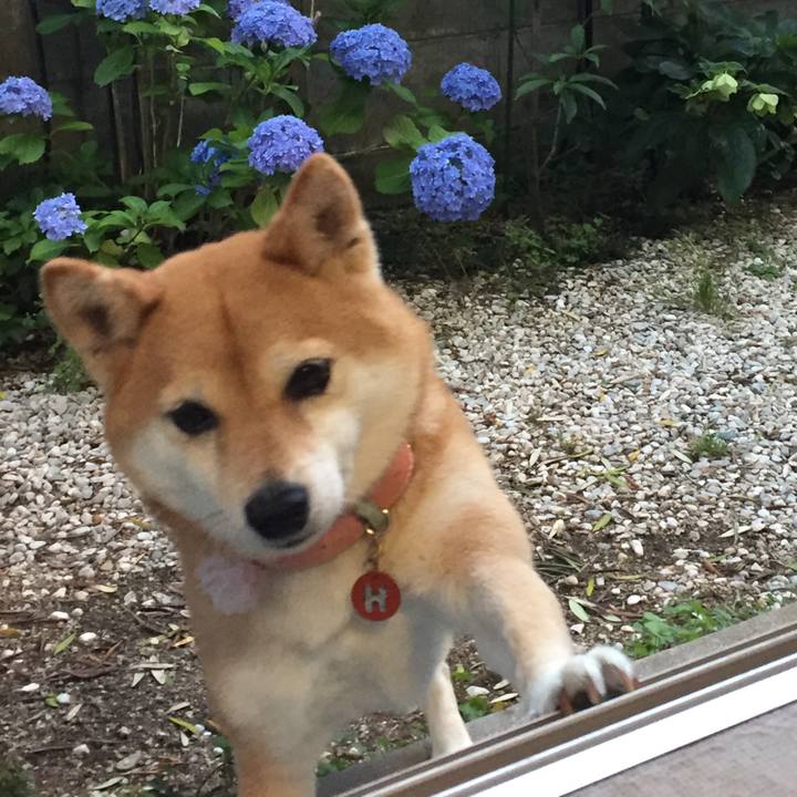 Ddafe92f ca5a 47d2 840c ba2ce7f0898f 1528884439230