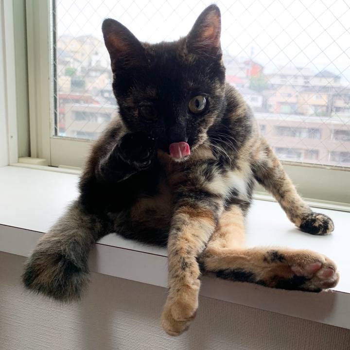 Ddb01189 4c3a 459c 934d 02ba837ff42b 1570761117992