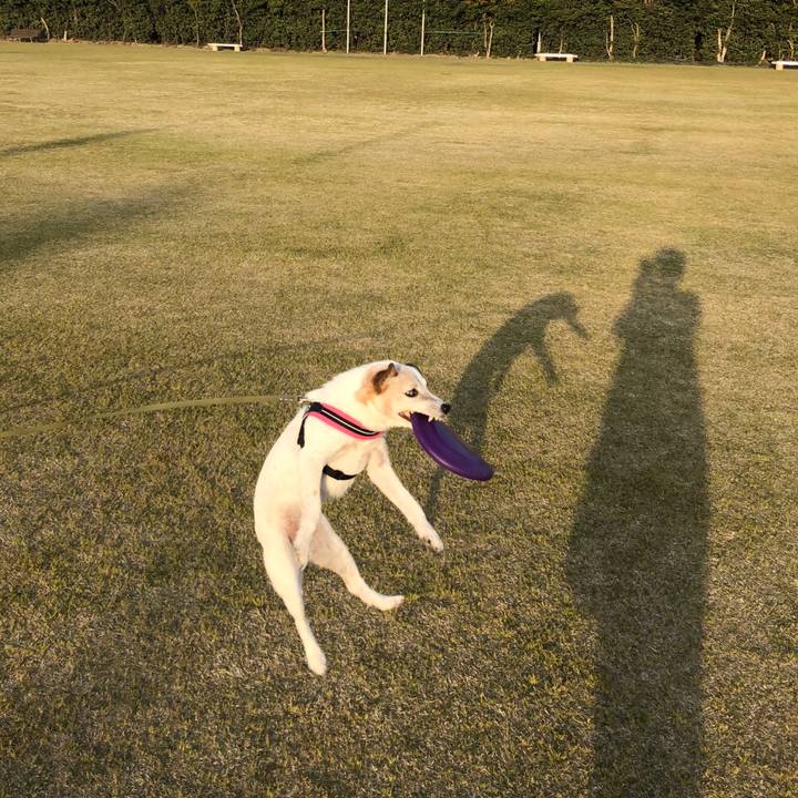 Ddb0126f 65e6 41f8 a6a4 c1361d32a328 1522499963492