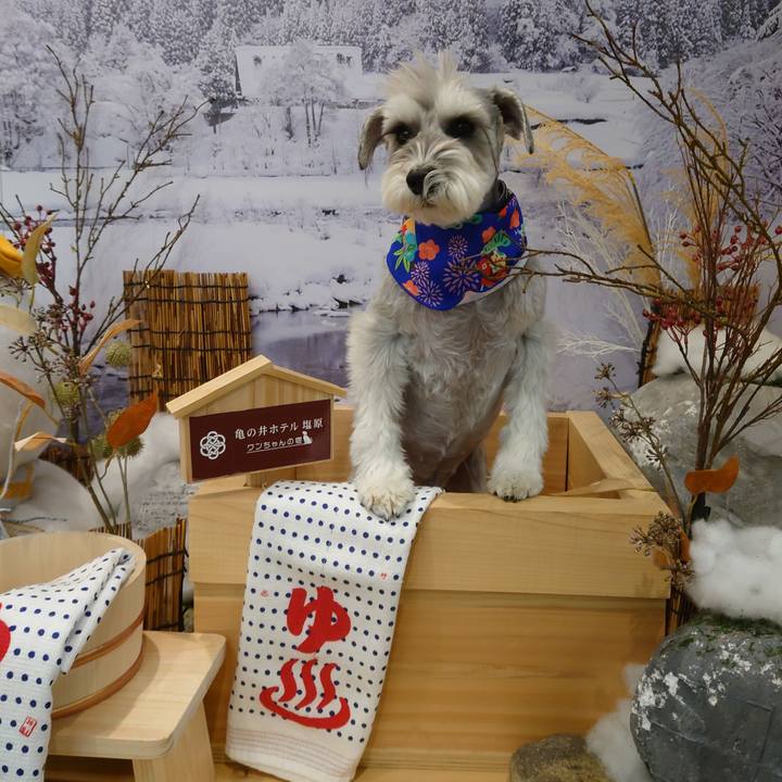 Ddb01c0b 189d 43d2 bcfb edb725100f67 1768375942479