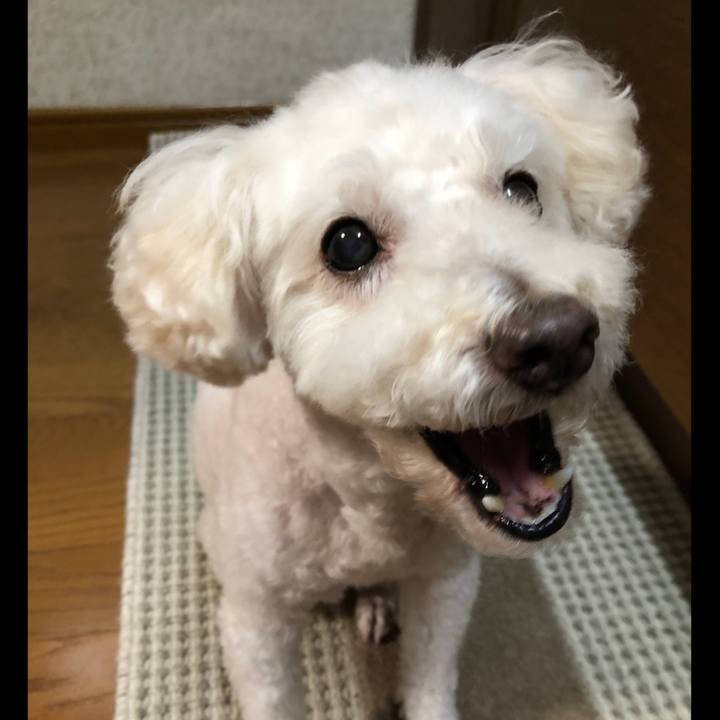 Ddb024dc 83ba 4f81 8a8e 829e7568b71f 1536390515296