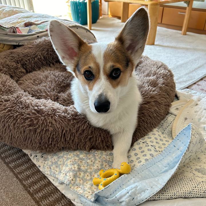 Ddb043c7 2d88 4b56 b20d d191d2f2d594 1770990177844