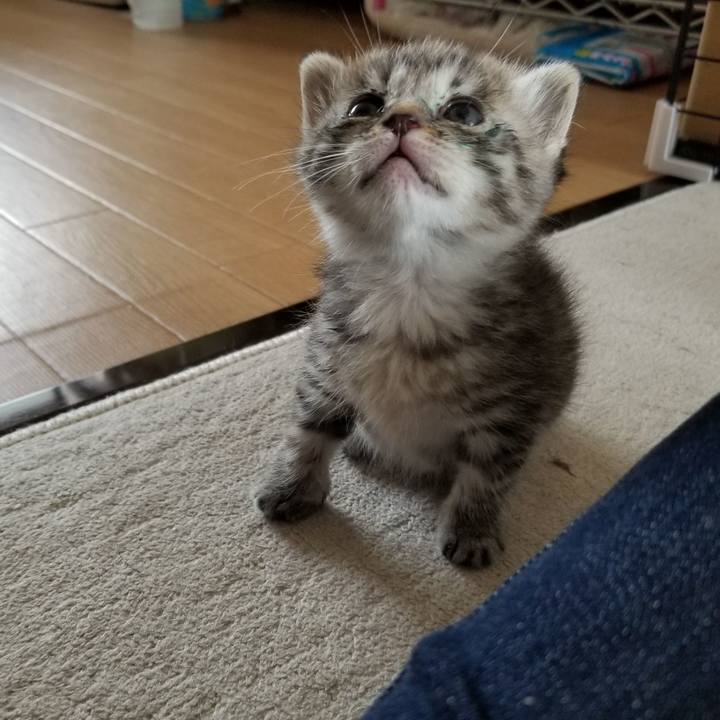 Ddb05bbf 709e 46e3 aebf 944e8a7dd4a6 1660047145375