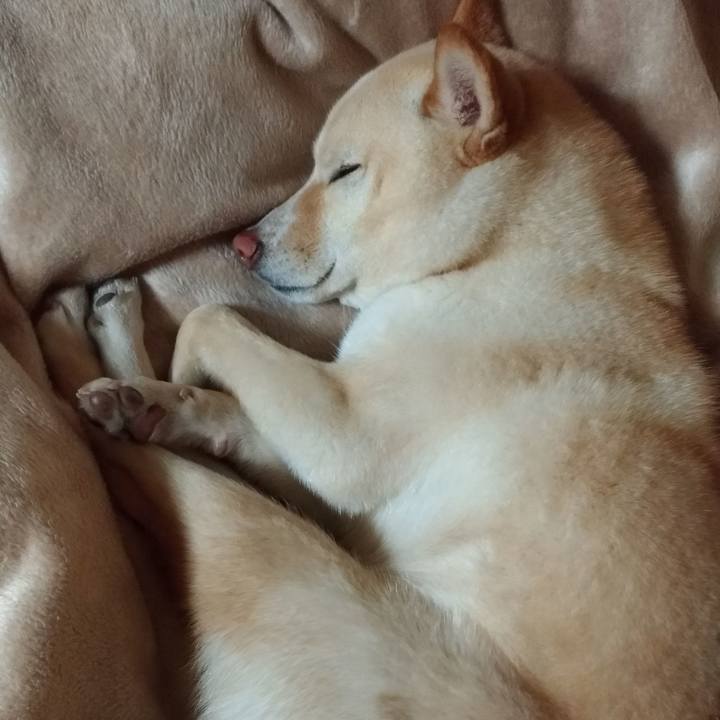 Ddb07ed7 4be1 4e32 9286 dc3643cfa490 1553693046169