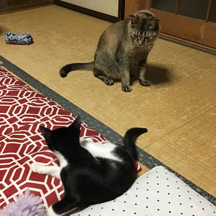 Ddb0c41e cfb5 4973 9105 e2f1effcc748 1626429605418