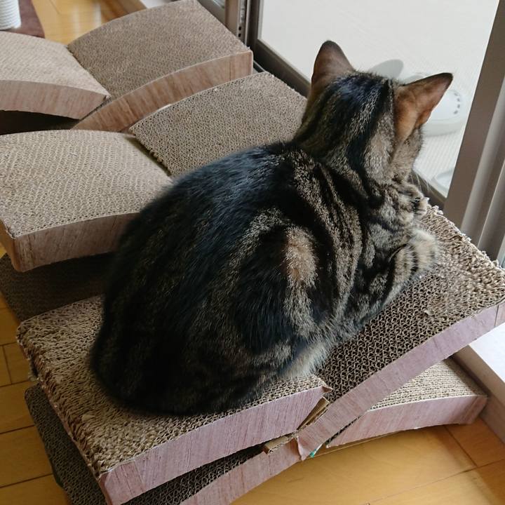 Ddb10f55 b358 42ed b297 bdcc2ac0e148 1529240336480