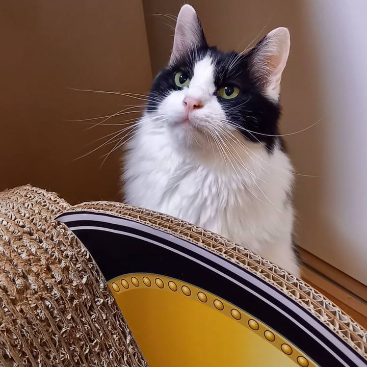 Ddb112c1 fdce 491f b327 4212c2d3a464 1639384465096