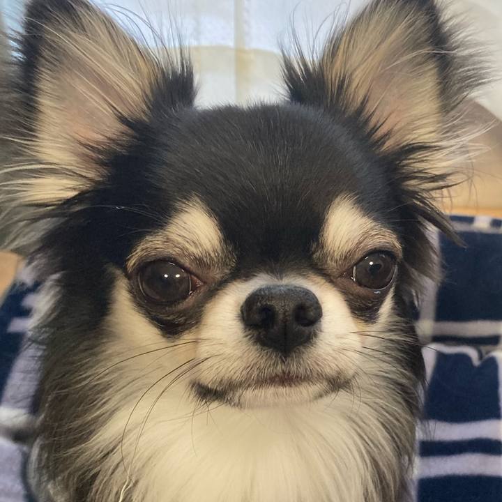 Ddb12948 9af0 47ca b3fe c6ccb7055969 1613257236118