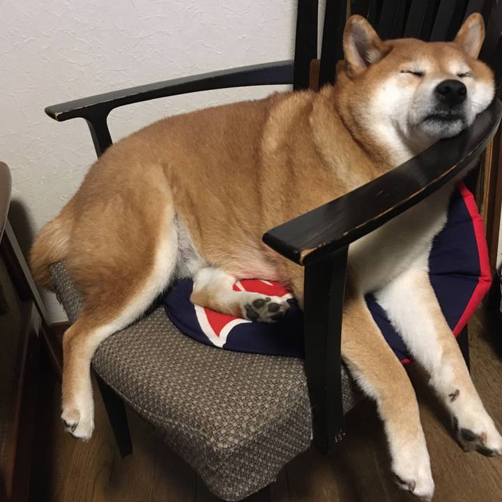 Ddb142b8 3db2 4af5 a878 9f649f8c3d8a 1605803059520