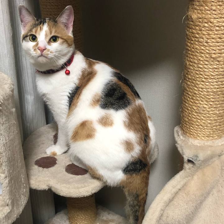 Ddb16f80 353b 4a37 a0d7 e03e03138e8b 1581516627272