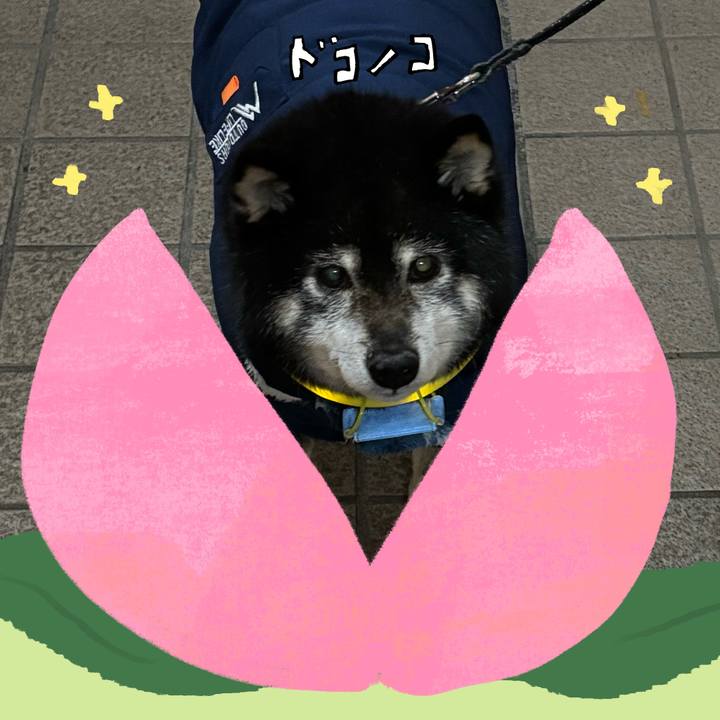 Ddb1f964 b85f 43b4 8c2b ad9b25a16326 1771909475400