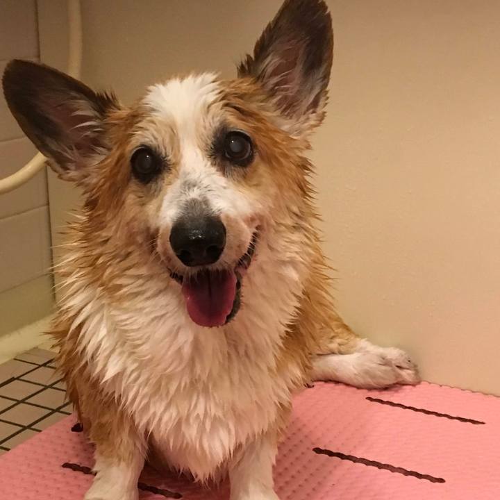 Ddb2005b 7351 4aa3 9891 421f171a3e46 1690503604439