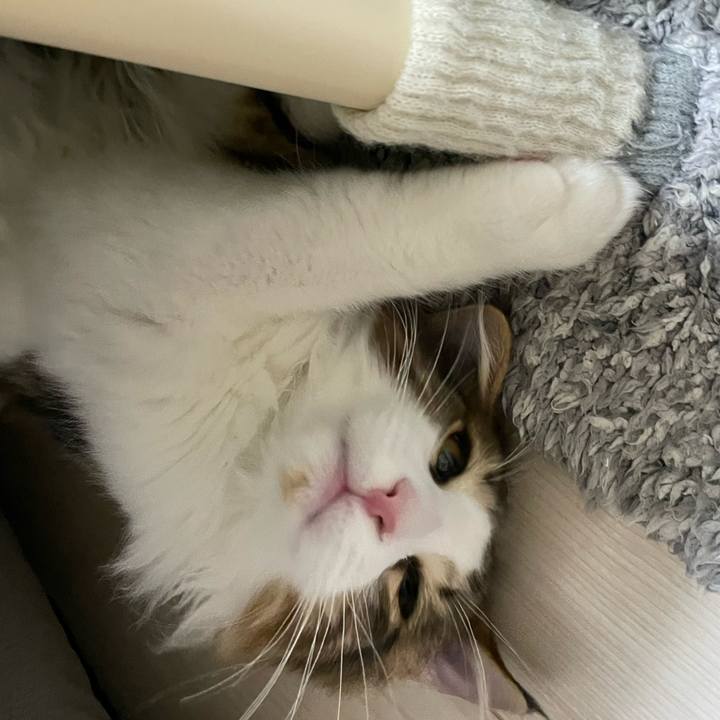 Ddb21459 e0de 41de 9c57 767155daf537 1637272973767