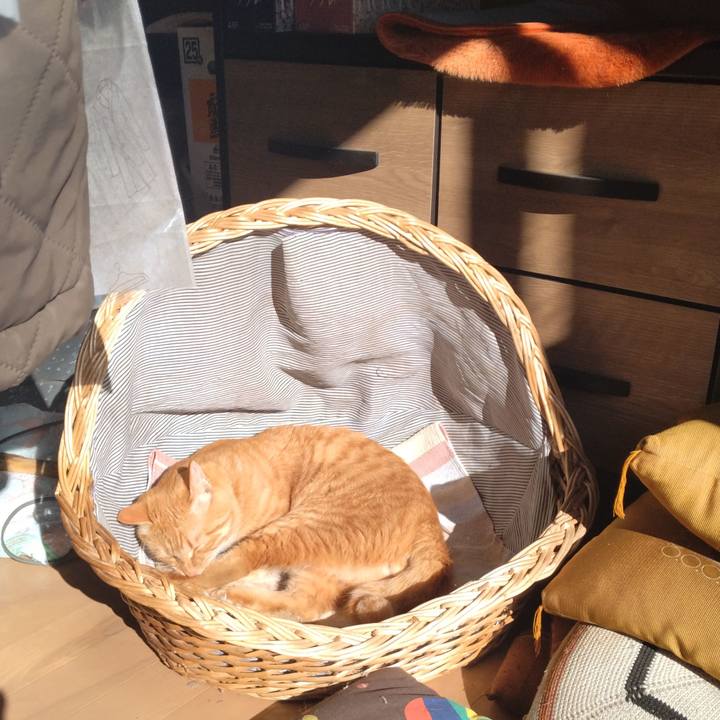 Ddb2153b f6af 435f 9511 2dfda3776064 1668747418138