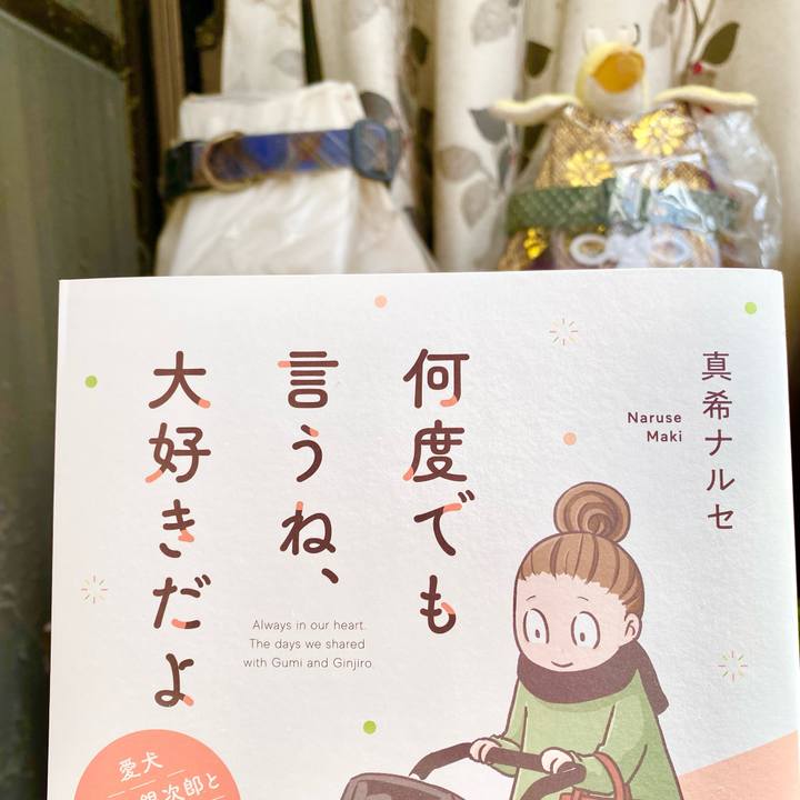 Ddb21c84 3088 438c 926d 5e1ac4a06d05 1773285653296