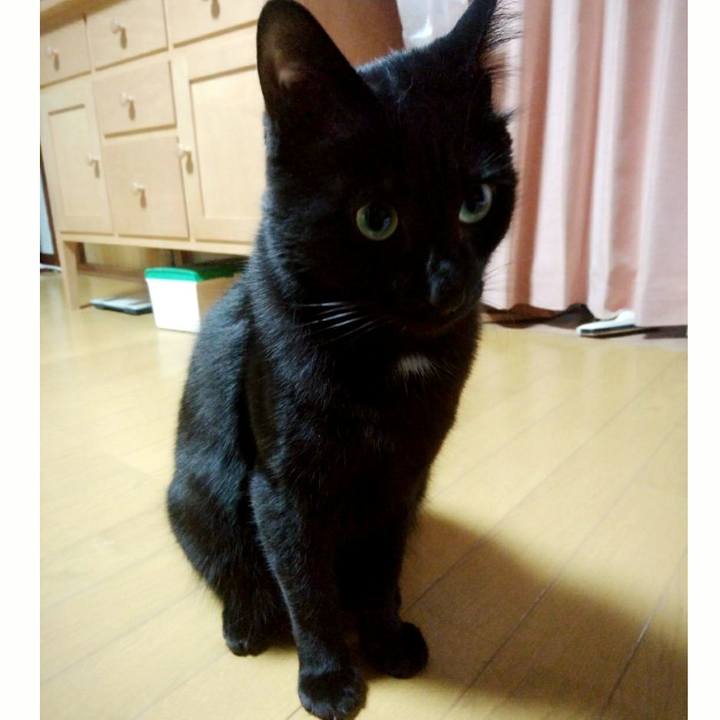 Ddb21ffd e74c 4d39 a1b3 23c86f72068e 1550837080507