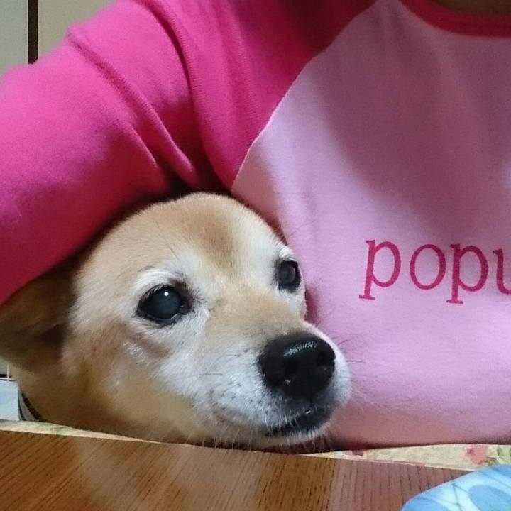 Ddb22a6c a3b8 4027 a852 3d77ed45e7bb 1510233898322