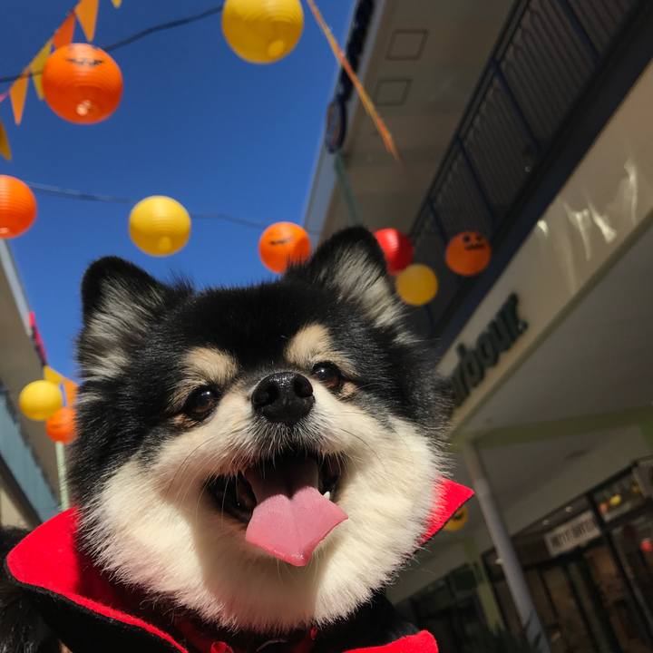 Ddb2301e 395e 4816 8d17 516a319e325b 1540971272739