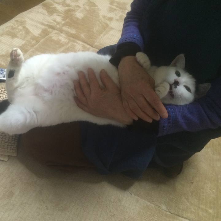 Ddb23c4a ef54 4f15 a4f5 1c5740080944 1554127072309