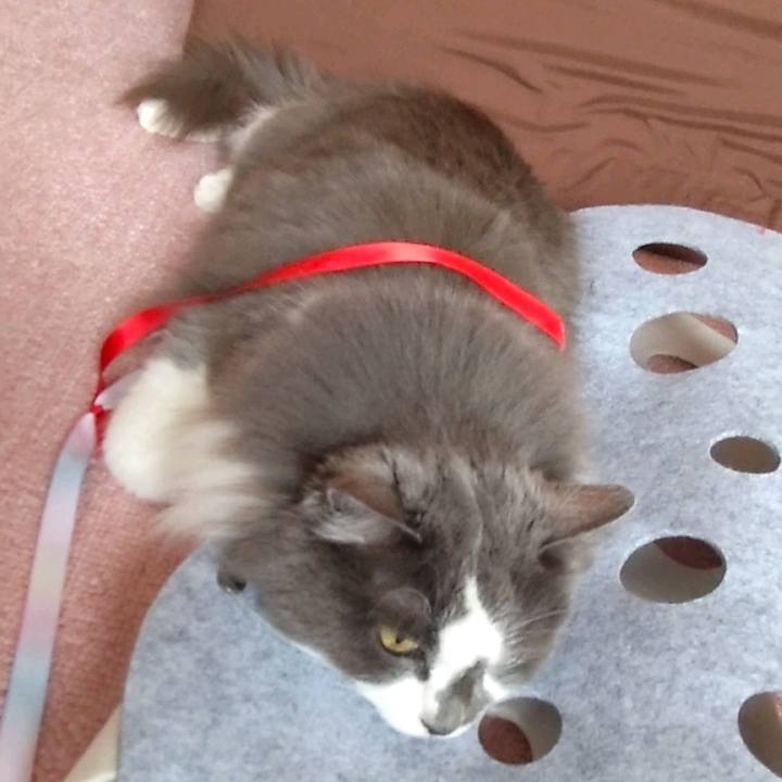 Ddb2a52f 8841 448a 8b44 6c0f62755624 1713689927598